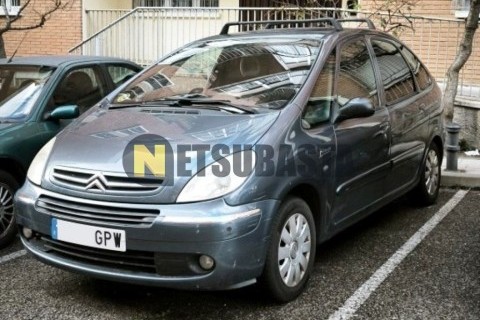 Wottan Storm-S 300 2022