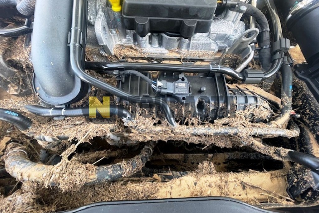 Volkswagen Polo 1.0 TSI 2024