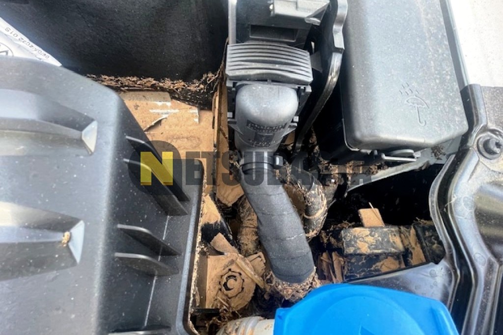 Volkswagen Polo 1.0 TSI 2024