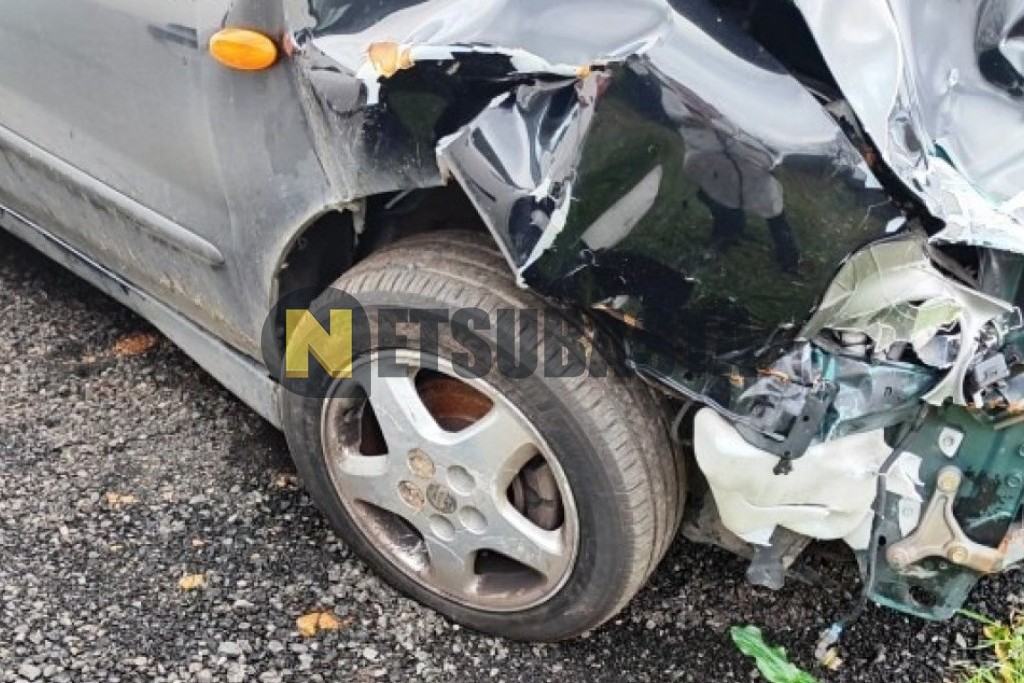 Nissan Almera Tino 2.2 dCi 2001