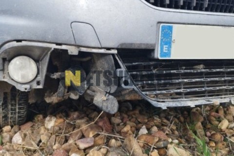 Yamaha XJ 600 Diversion 1991