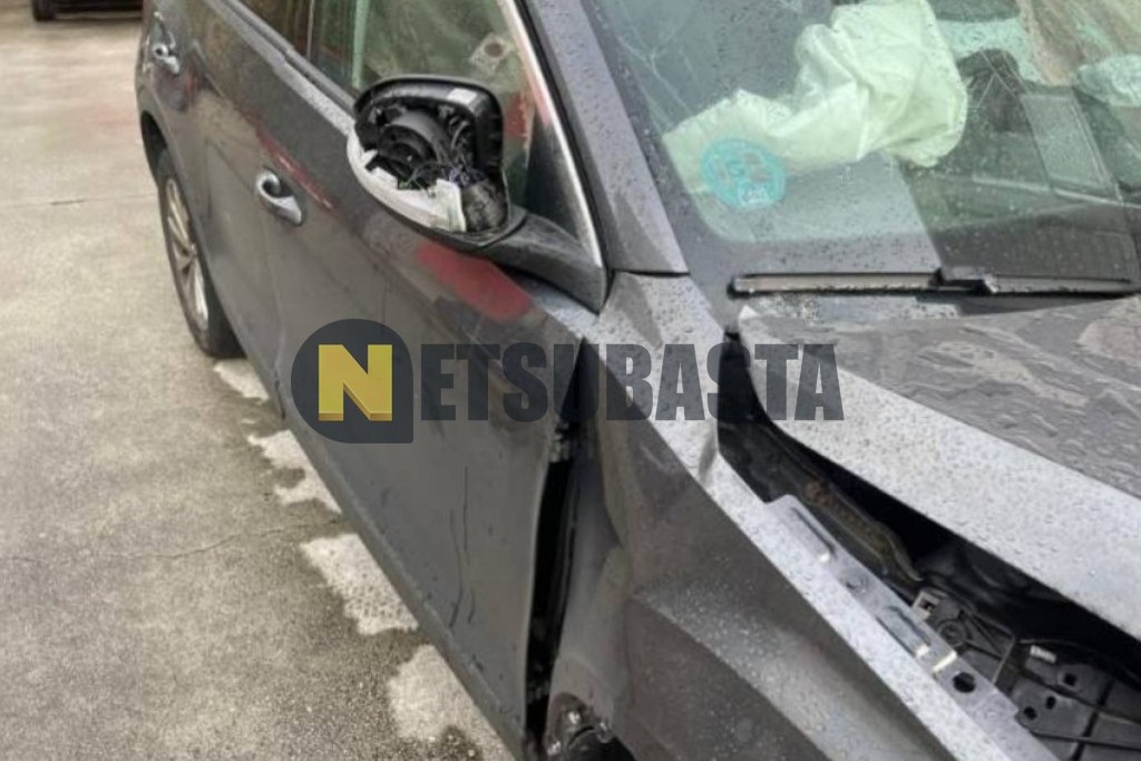 Volkswagen T-Roc 2.0 TDI DSG 2024