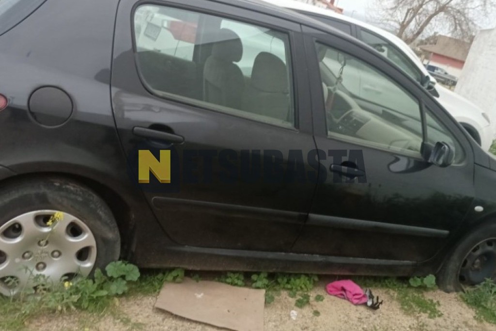 Peugeot 307 2.0 HDi 2004