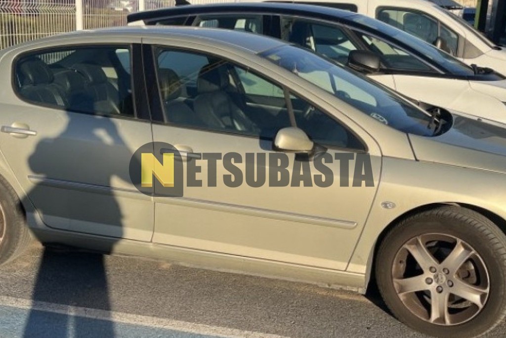 Peugeot 407 2.0 HDi 2009