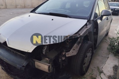 Suzuki Inazuma 250 2013