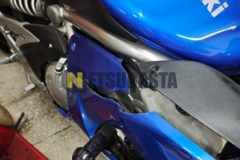 Suzuki Inazuma 250 2013