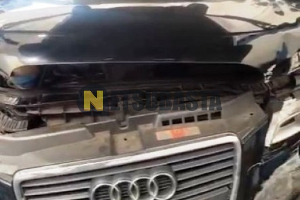 Audi A3 Cabrio 2.0 TDI S tronic DPF 2009