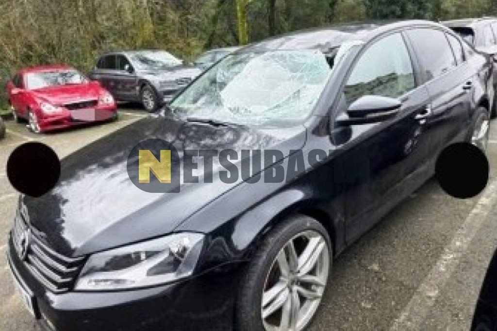 Volkswagen Passat 2.0 TDI 2012