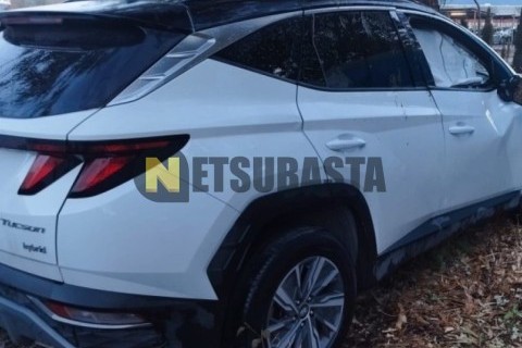 Iveco Eurocargo ML 120E18 Frigorifico 2007