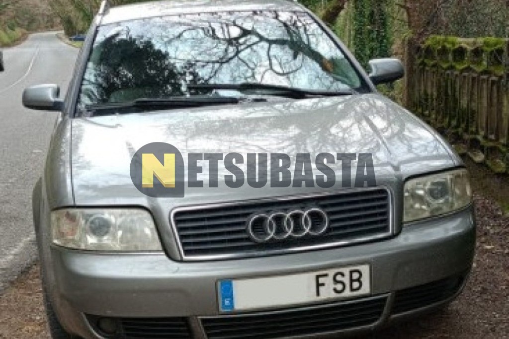 Audi A6 Avant 2.5 TDI multitronic 6 vel. 2004