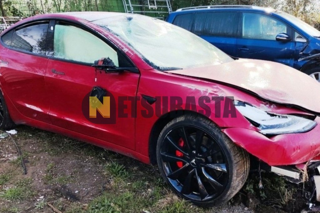 Tesla Model 3 Traccion Integral 2019