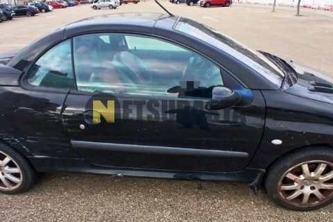 Suzuki Burgman 125 2010