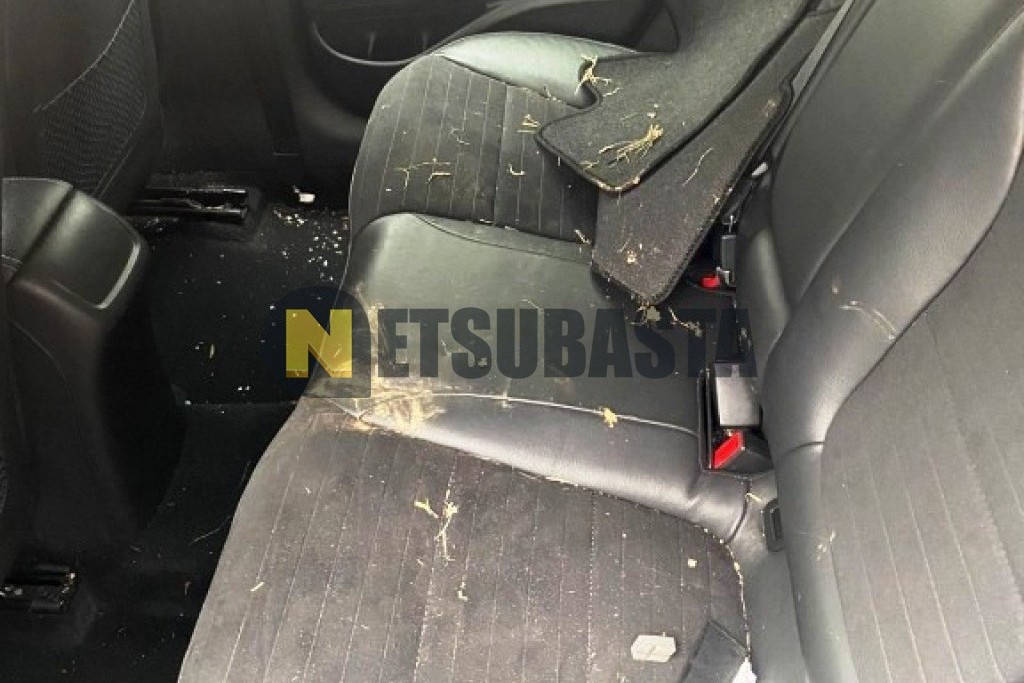 Hyundai i30 2.0 T-GDi N Performance 2020