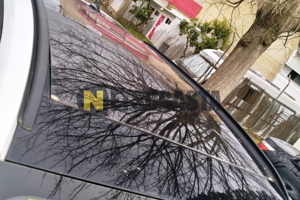 Ford Focus 1.5 EcoBlue 2019