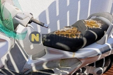 Benelli Leoncino 250 2020