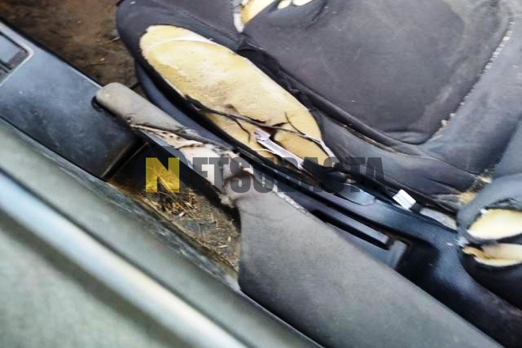 Isuzu D-MAX Single N57 4x4 2021