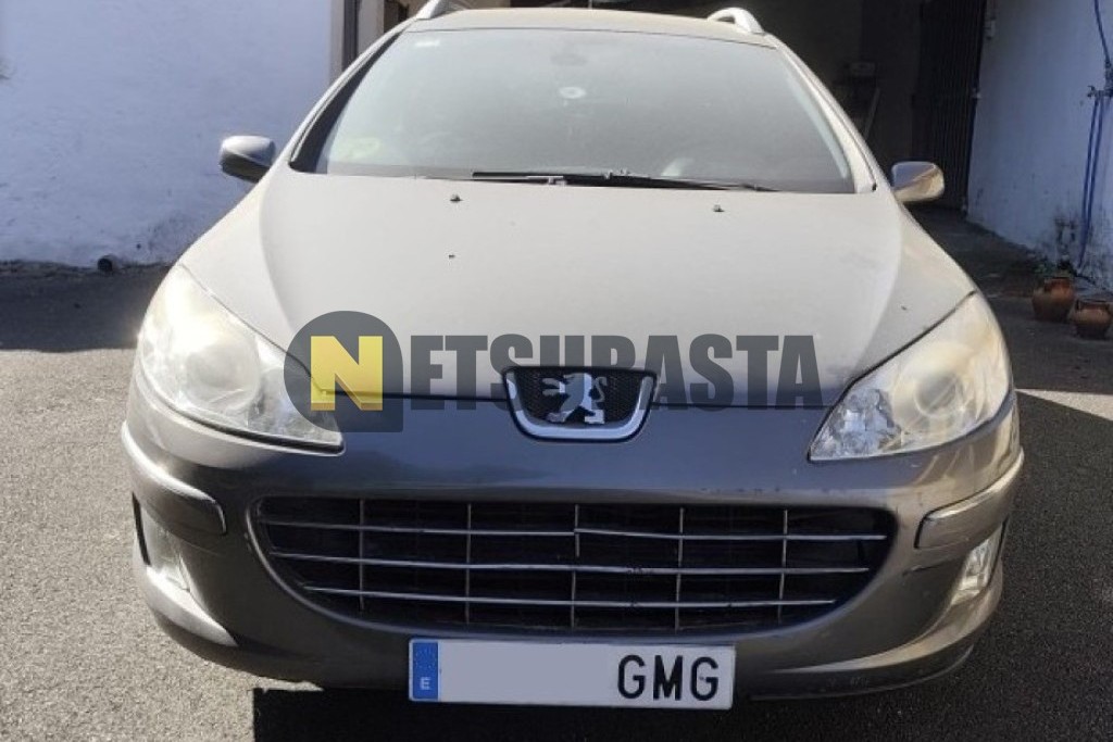 Peugeot 407 SW 2.0 HDi FAP 2009