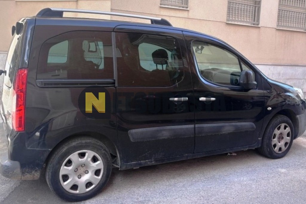 Peugeot Partner Tepee 1.6 HDi 2009