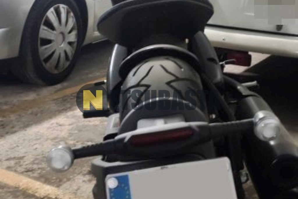 Benda Napoleon Bob 500 2025