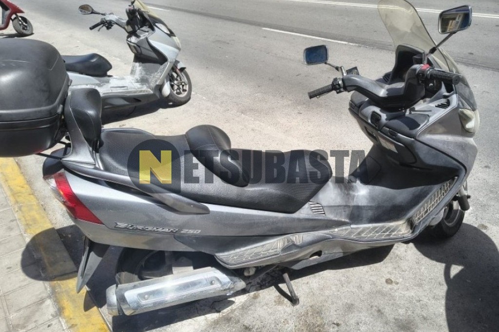 Suzuki BURGMAN 250 2007