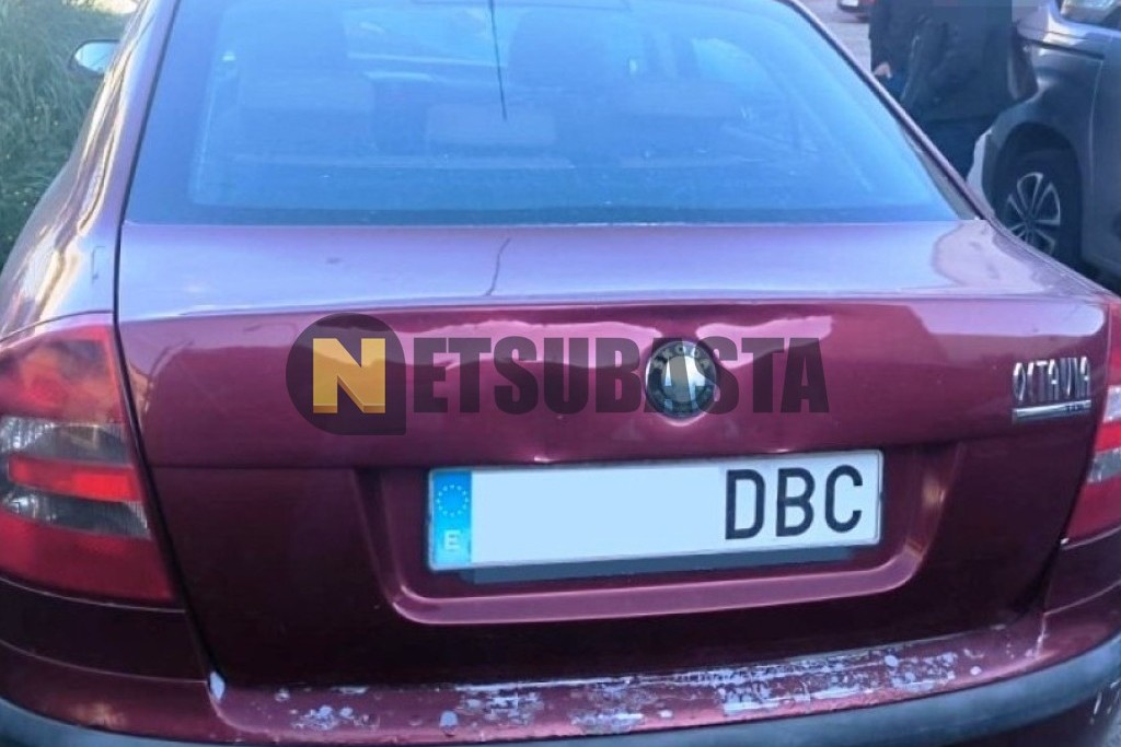 Skoda Octavia 1.9 TDI 2004