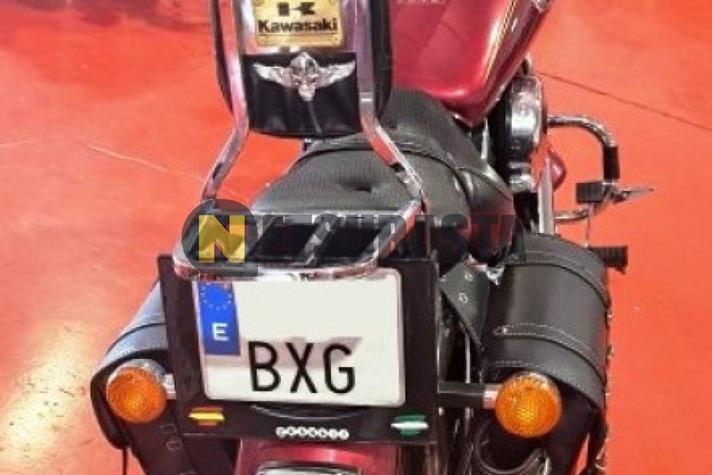 Kawasaki VN 800 Clasic 2002