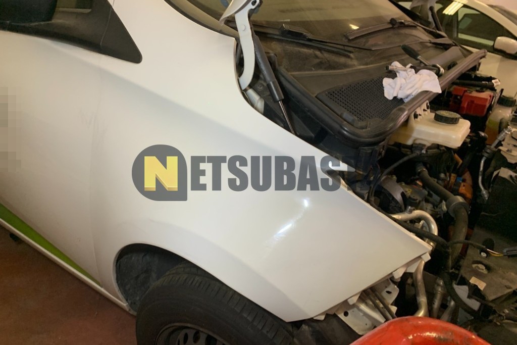 Renault Zoe 80 kW R110 Batería 50kWh 2020