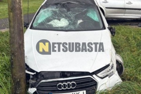 Suzuki BURGMAN 650 Executive 2010