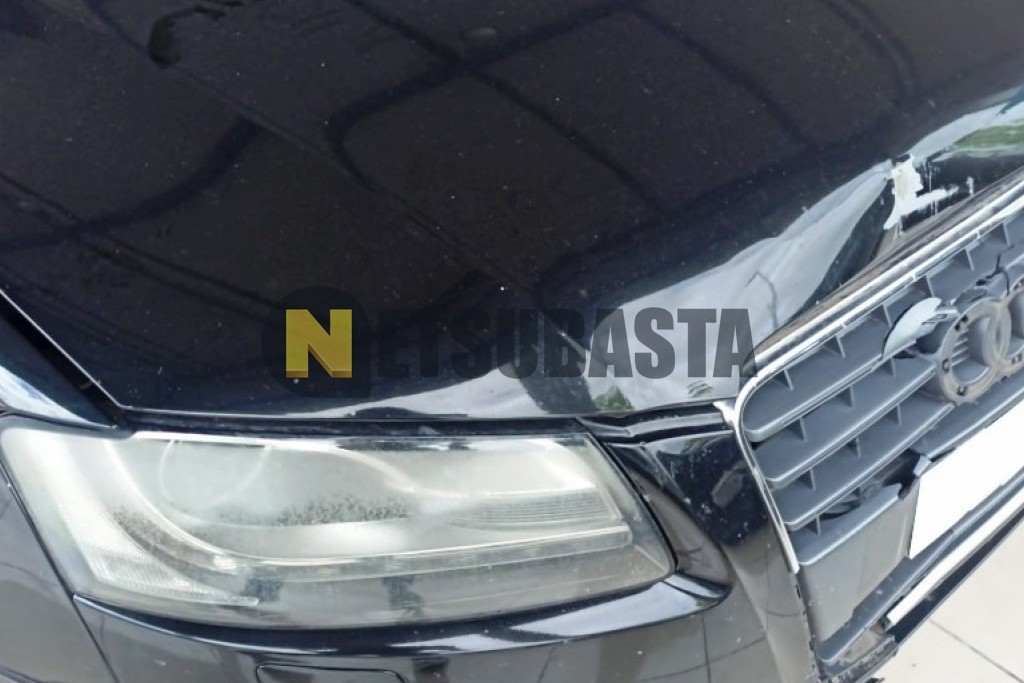 Audi A5 Coupe 2.7 TDI multitronic DPF 2011