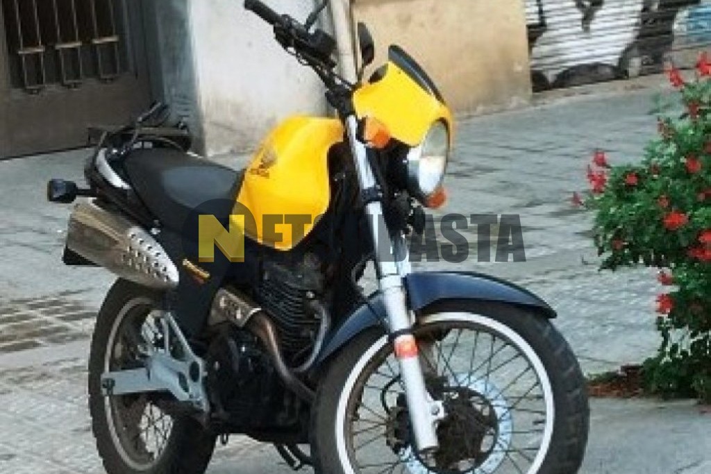 Honda Vigor FX 650 2001