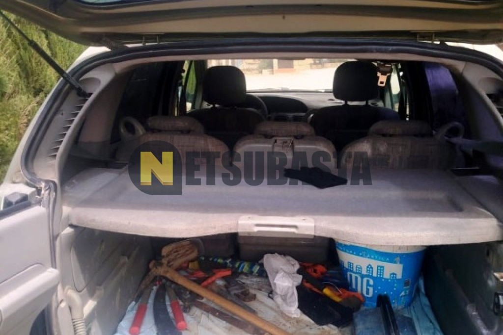 Renault Scenic RX4 1.9 dCi 2002