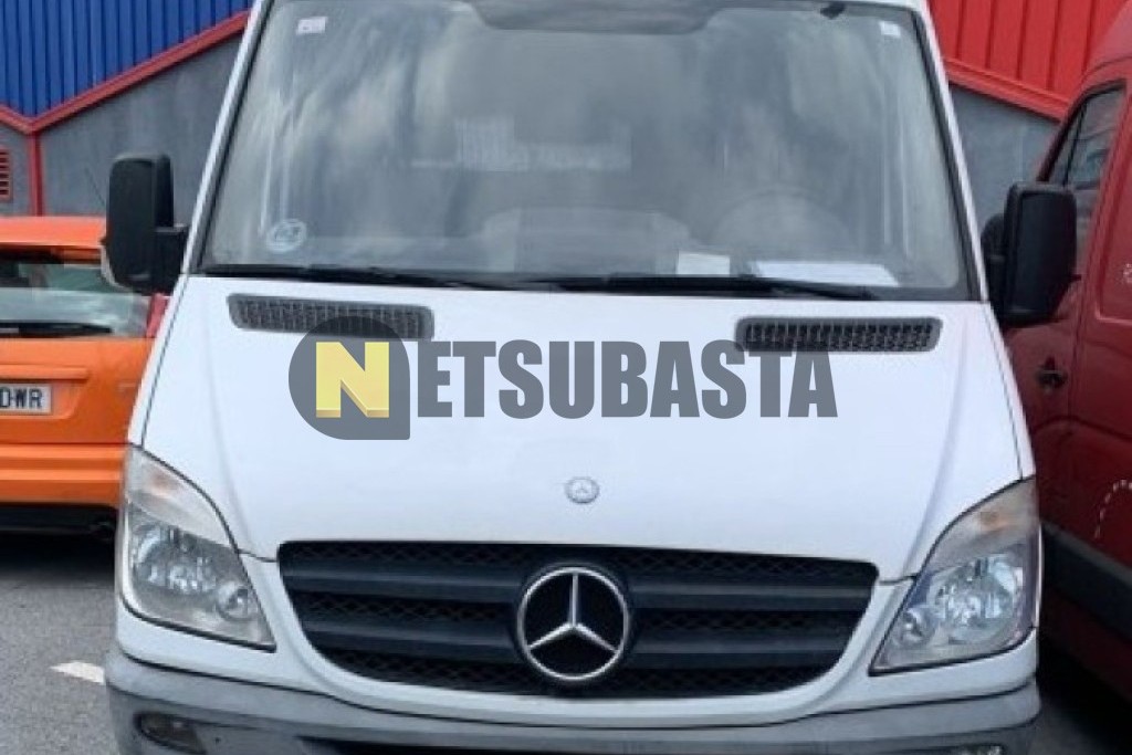 Mercedes-Benz Sprinter 313 CDI 2012