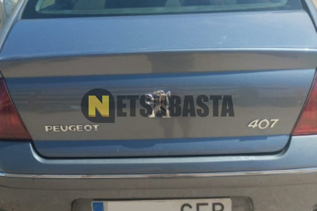 Peugeot 407 2.0 HDi FAP 2008