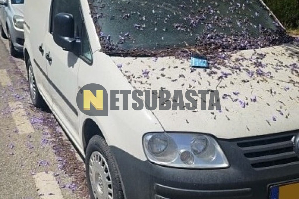 Volkswagen Caddy 2.0 SDI 2008