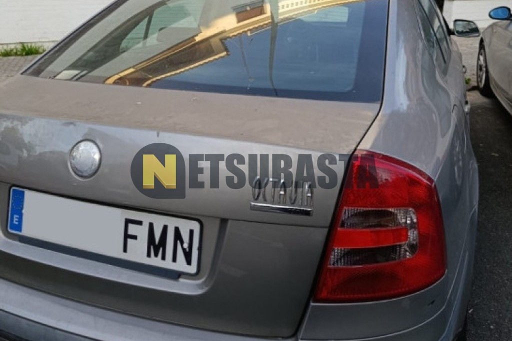 Skoda Octavia 1.9 TDI 2007