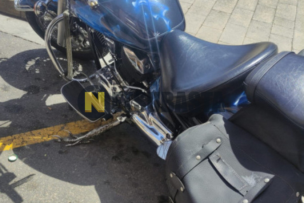 Yamaha XVS 1100 Drag Star 2005