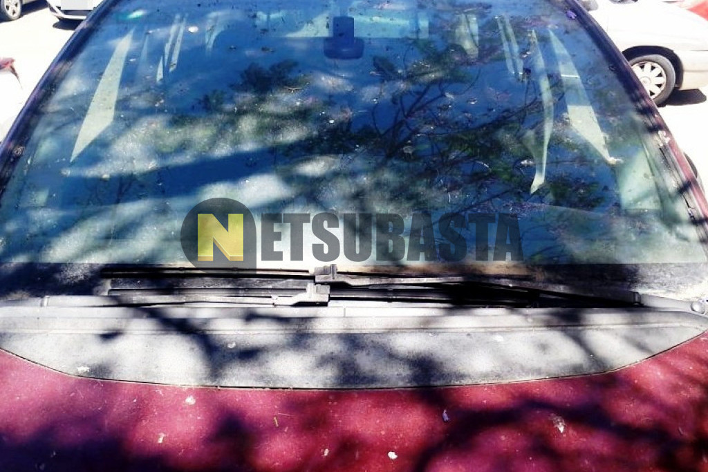 Citroën Grand C4 Picasso 1.6 HDi 2007
