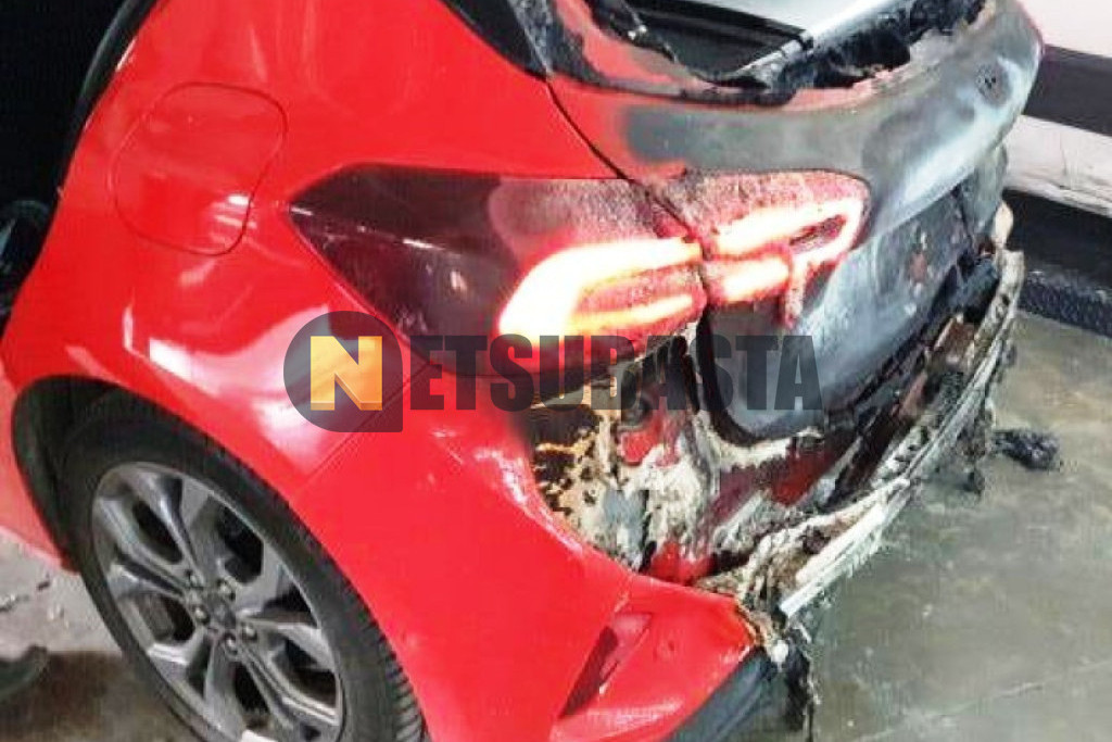 Ford Focus 1.0 EcoBoost MHEV 2023