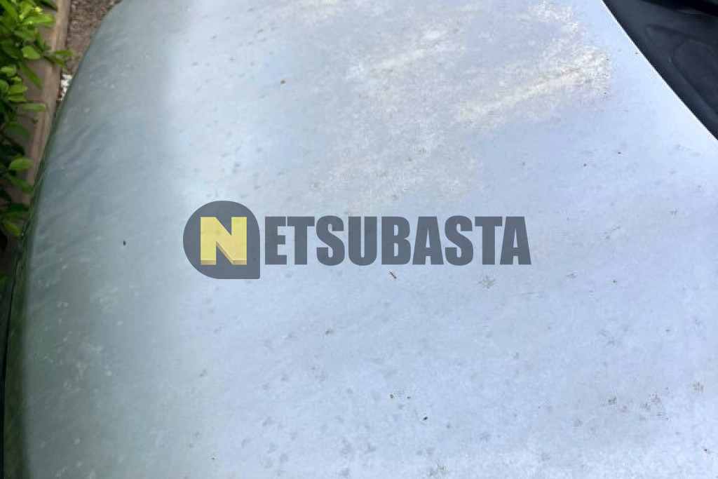 Fiat Panda 1.3 16v Multijet 2007