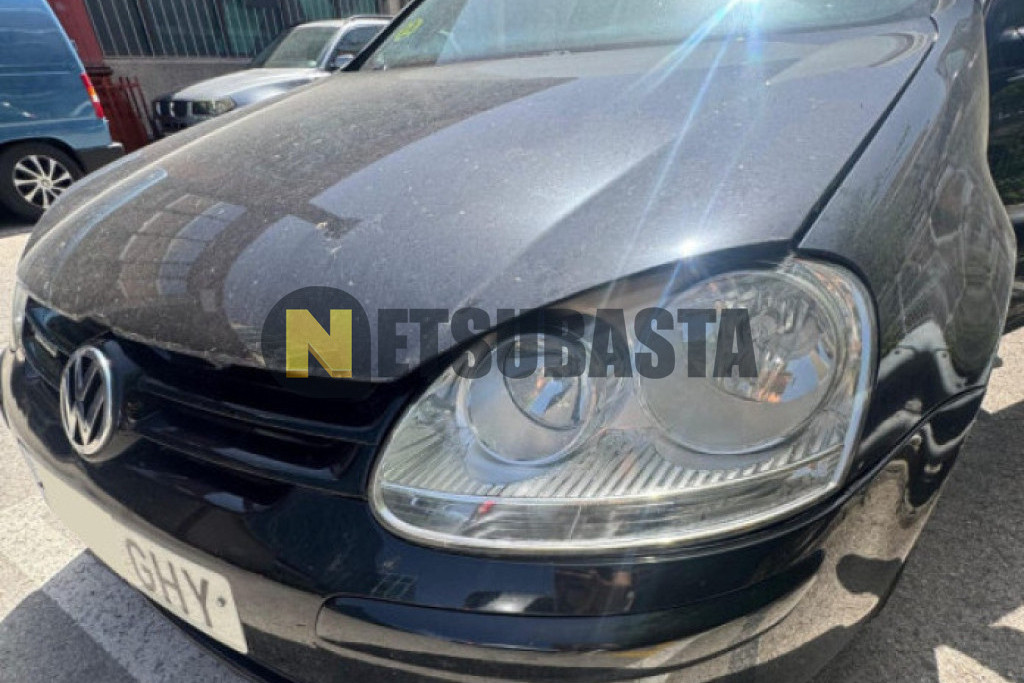 Volkswagen Golf 1.9 TDI BlueMotion DPF 2008