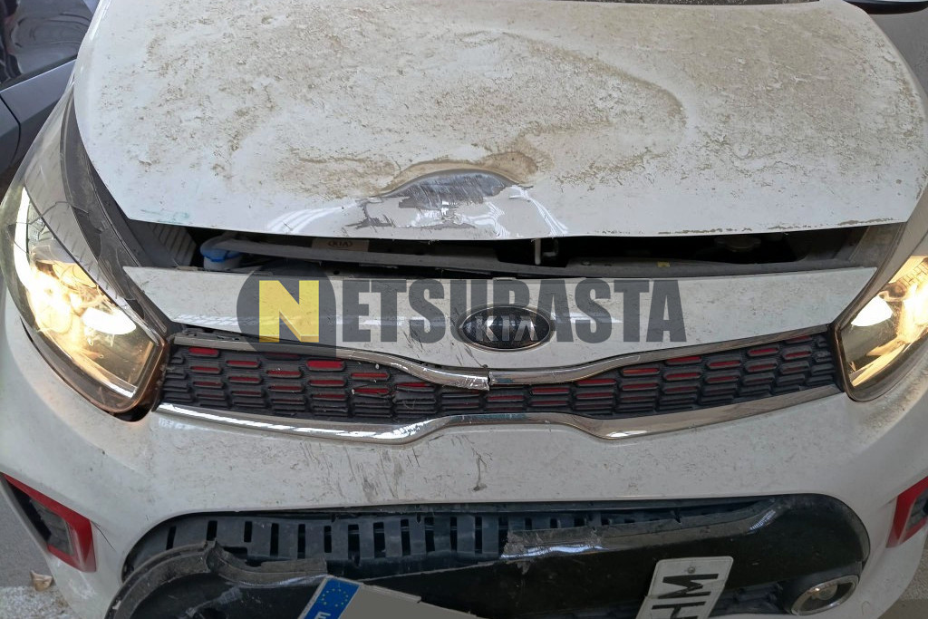 Kia Picanto 1.0 CVVT 2020