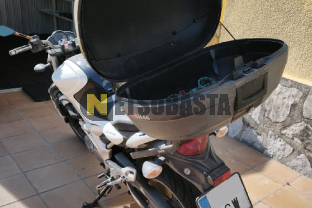 Suzuki Gladius 650 2010