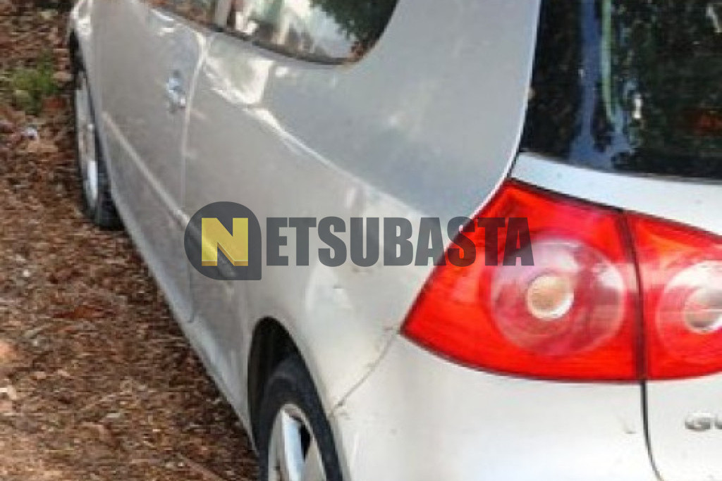 Volkswagen Golf 2.0 TDI 2006