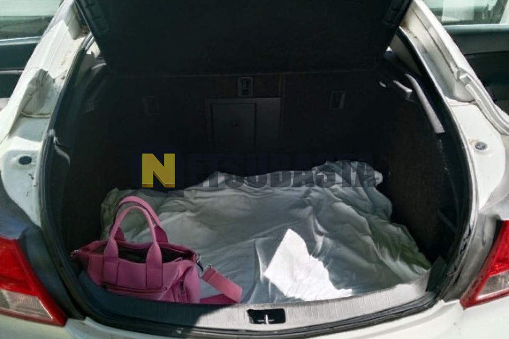 Opel Insignia 2.0 CDTI ecoFLEX 2010