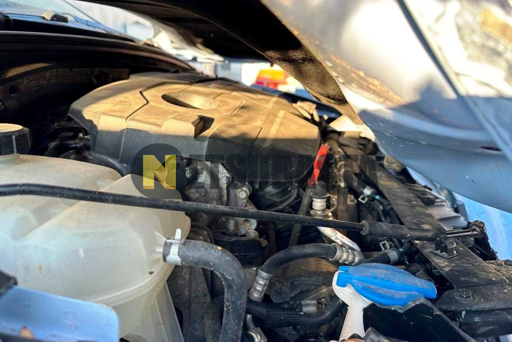 Hyundai i30 N Performance 2.0 T-GDi 8DCT 2021