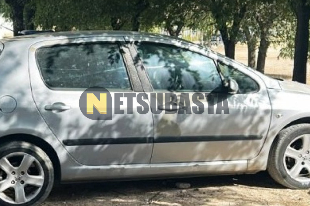 Peugeot 307 1.6 HDI 2006