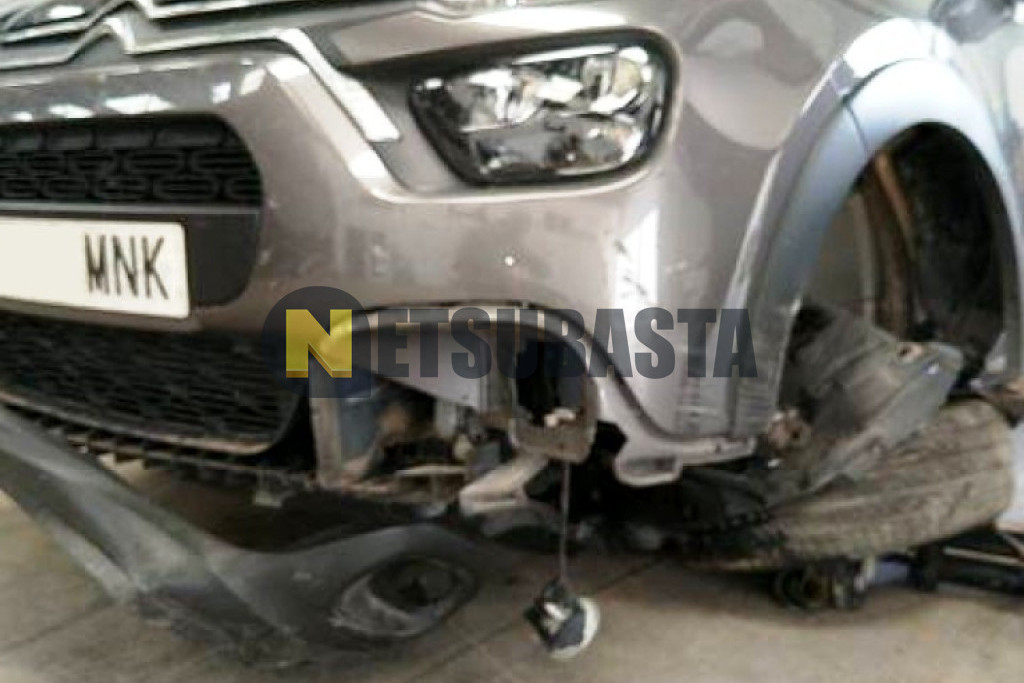 Citroën C3 1.5 BlueHDi 2024