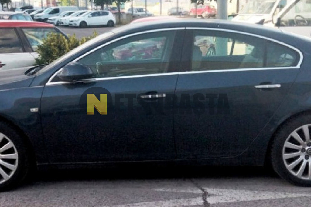Opel Insignia 2.0 CDTI ecoFLEX 2010