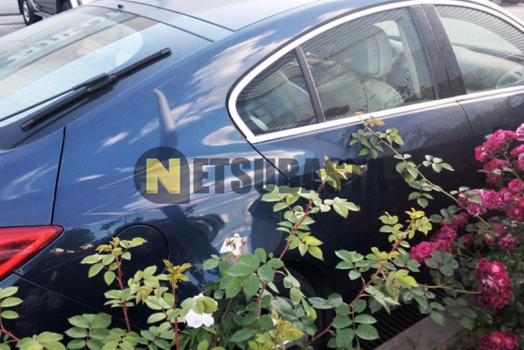 Opel Insignia 2.0 CDTI ecoFLEX 2010