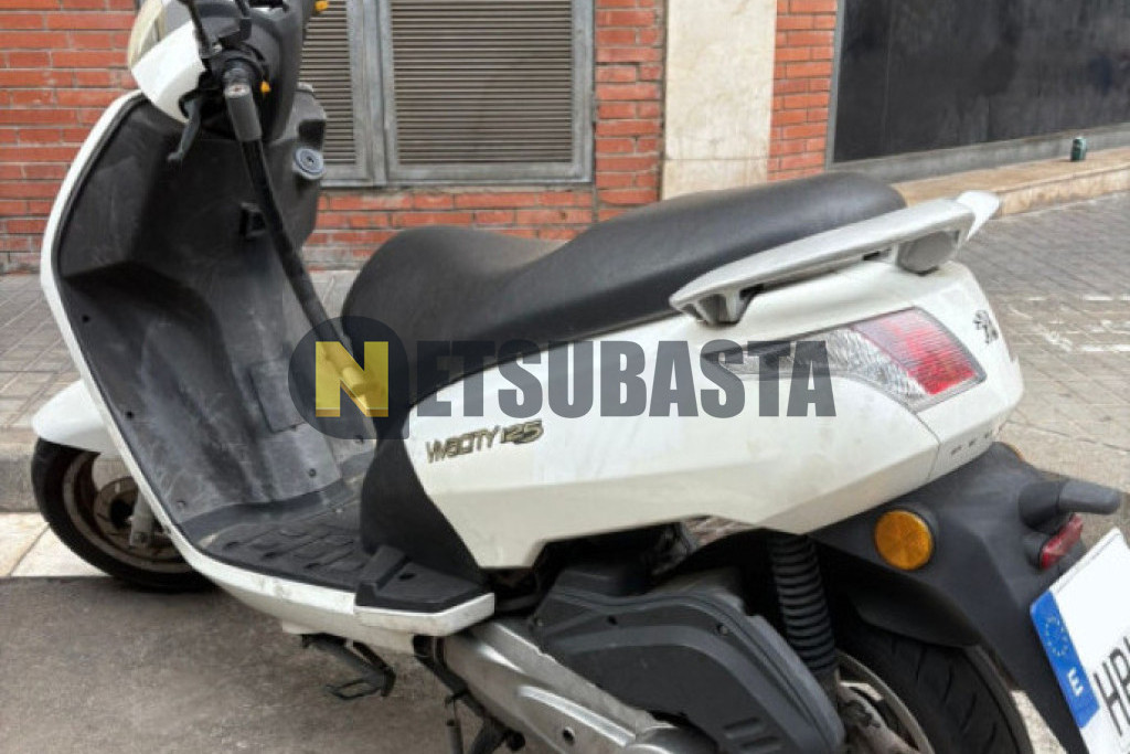 Peugeot VIVACITY 125 2013
